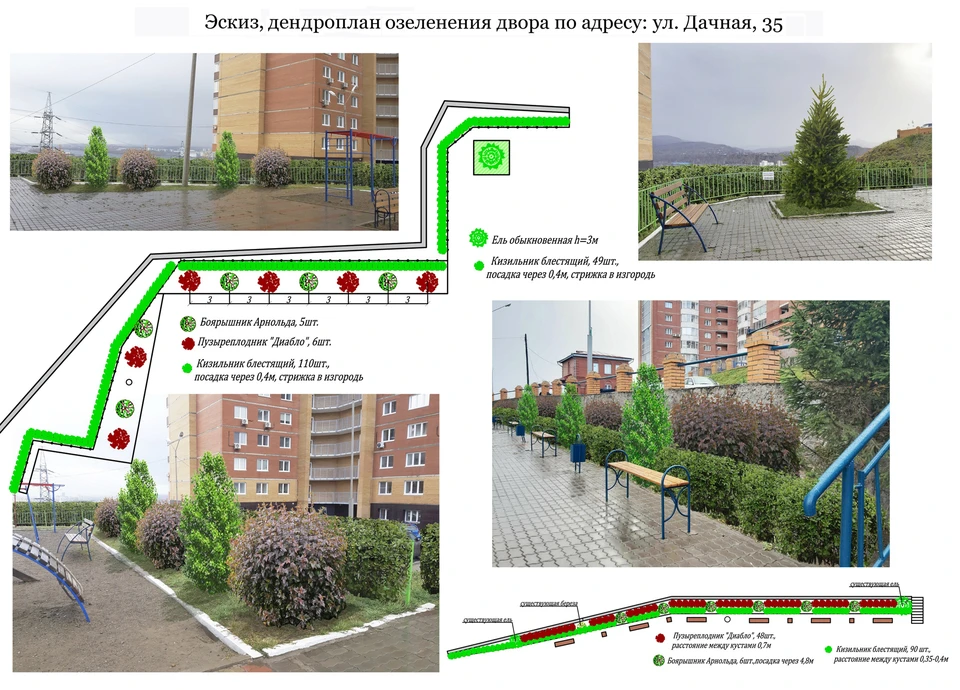 Озеленение двора Фото: администрация Красноярска