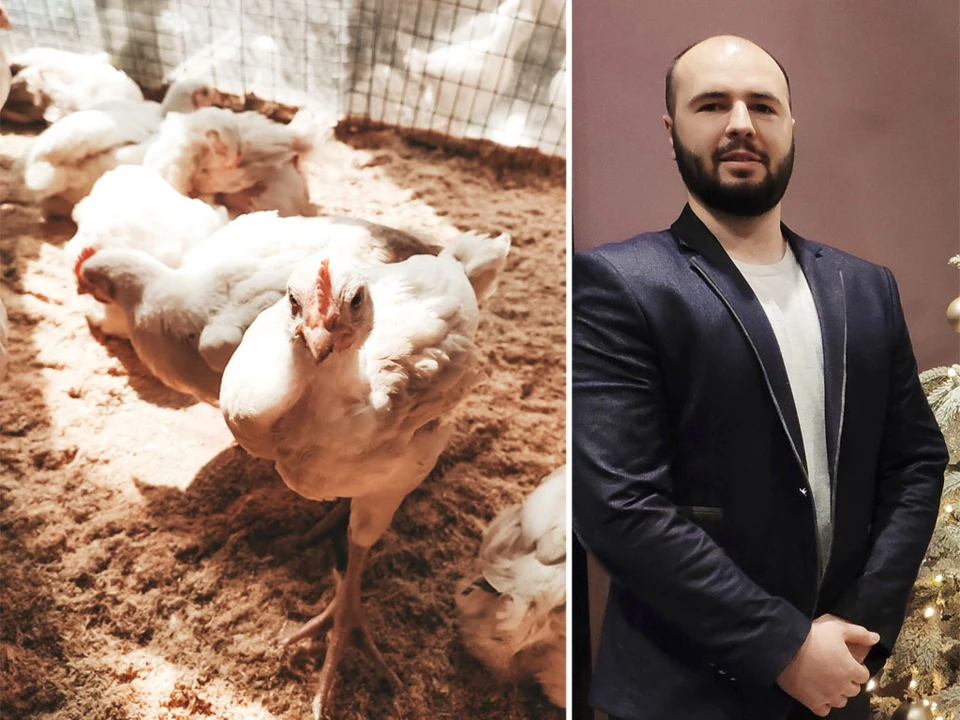 «Коронавирус – время возможностей»: фитнес-инструктор начал зарабатывать… на цыплятах
