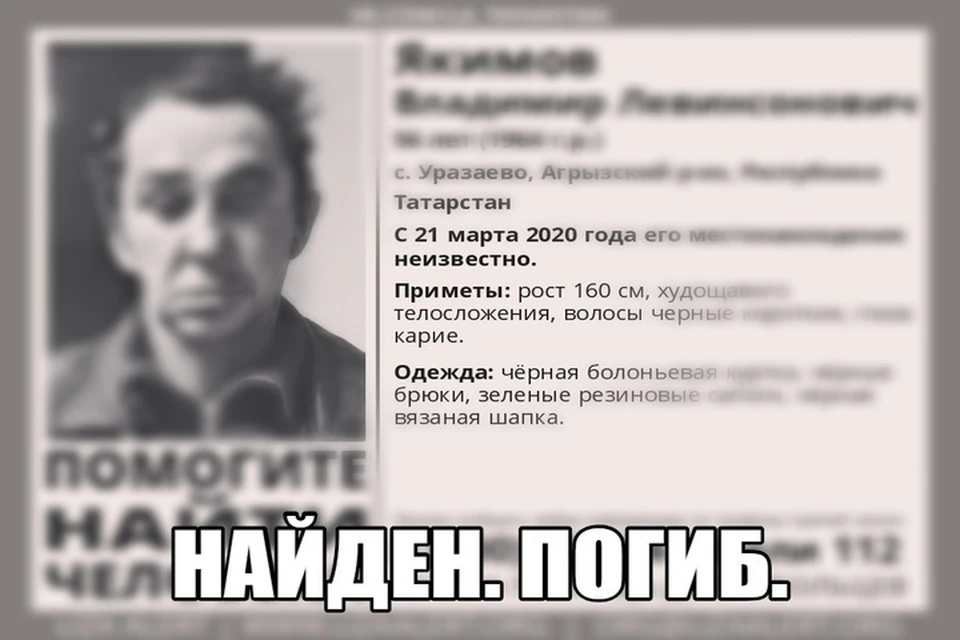 Фото: ПСО "Лиза Алерт"