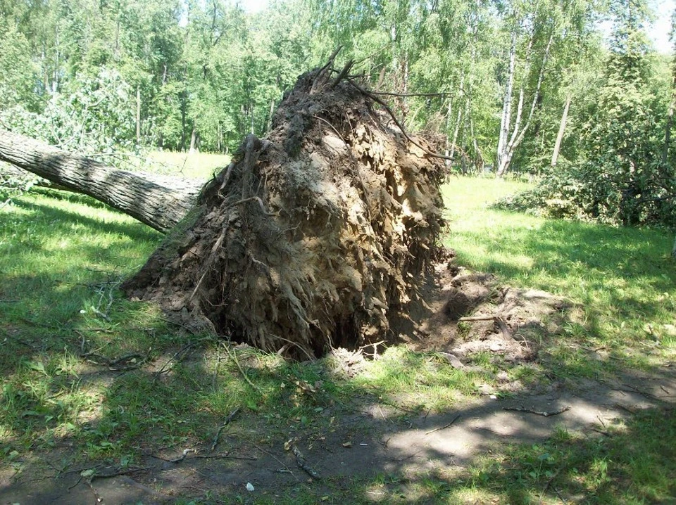 По мнению метеорологов, ветер в Ермиши мог достигать 33 м/с. Фото: meteo62.ru