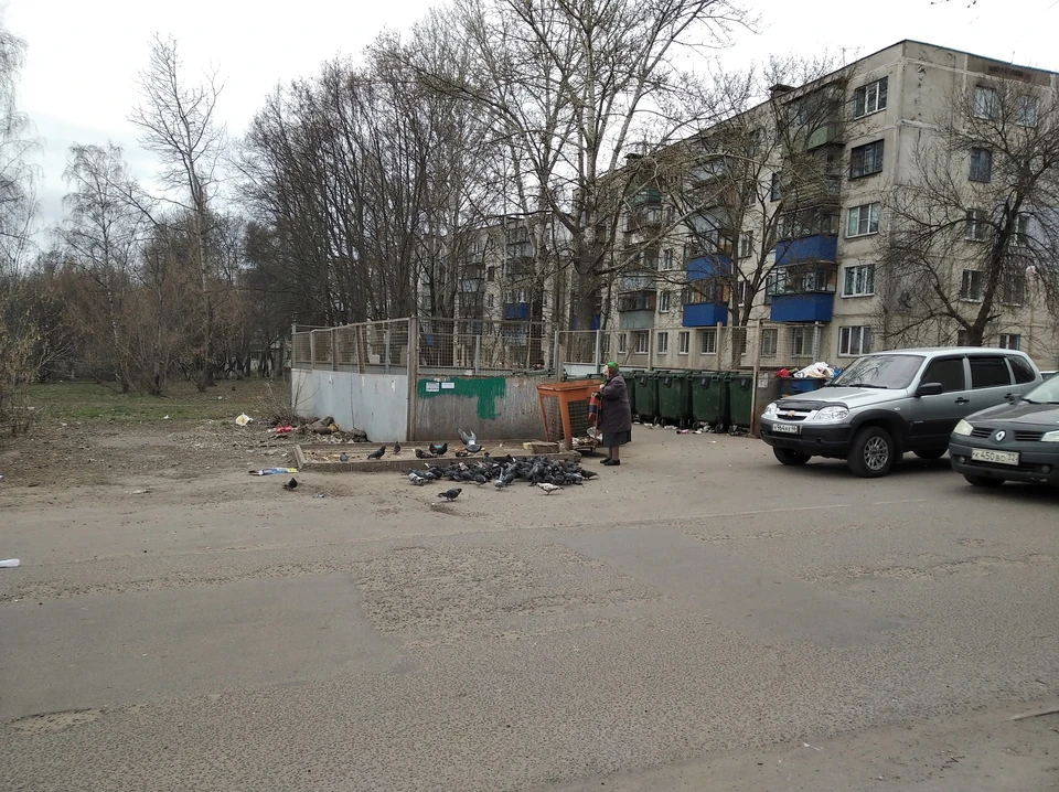 С переработкой мусора в Курске туго