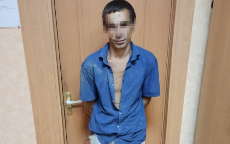Преступника задержали по "горячим следам". Грозит ему теперь до 7 лет колонии.
