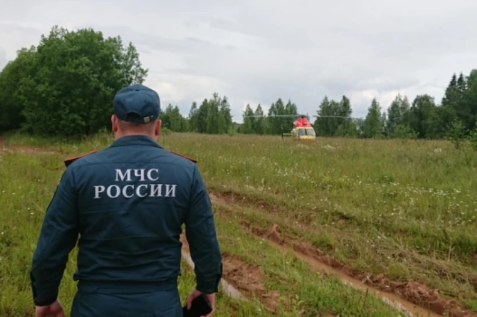 Поисковик подорвался на мине времен ВОВ и получил тяжелые травмы в Ленобласти. Фото: 47.mchs.gov.ru