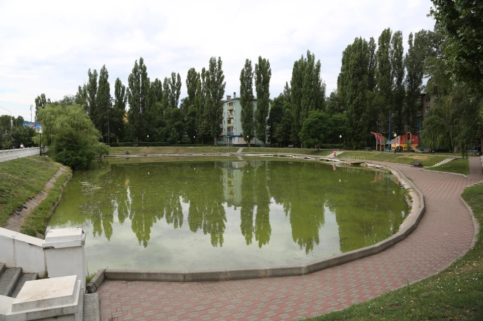 Бывшее лебединое озеро. Фото мэрии Воронежа.