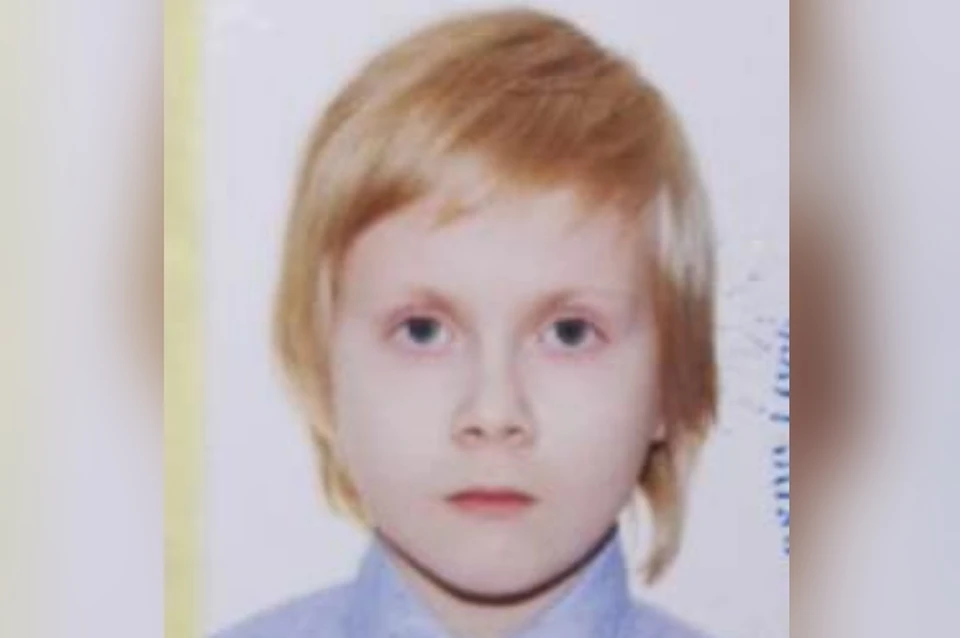 Завершены поиски 8-летнего мальчика, потерявшегося в лесу в Ленобласти. Фото: ГУ МВД России по Санкт-Петербургу и Ленобласти
