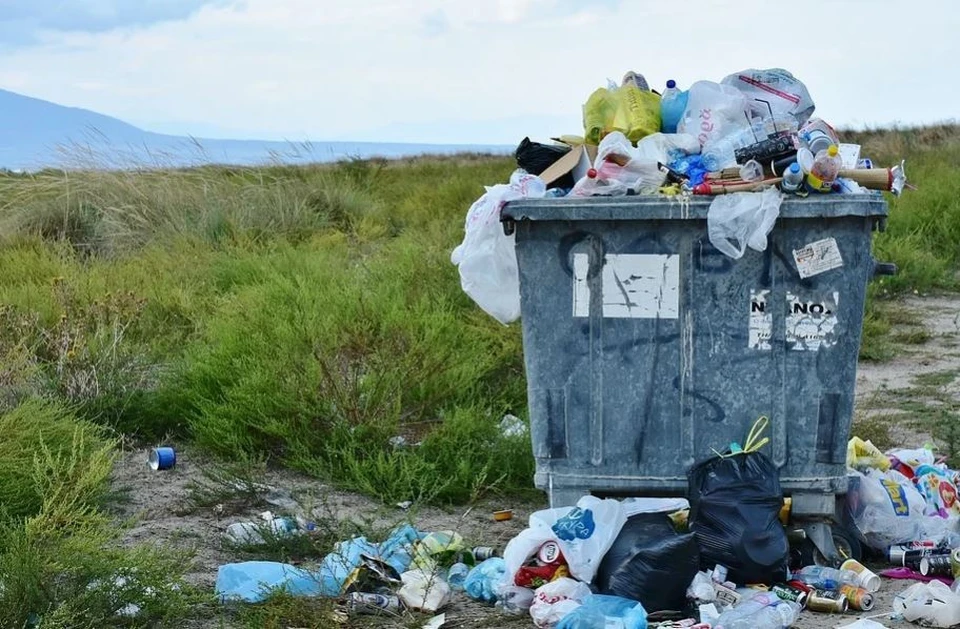 Тюменцев, оставляющих мусор на диких пляжах и в лесах, могут оштрафовать на две тысячи рублей. Фото - pixabay.com.