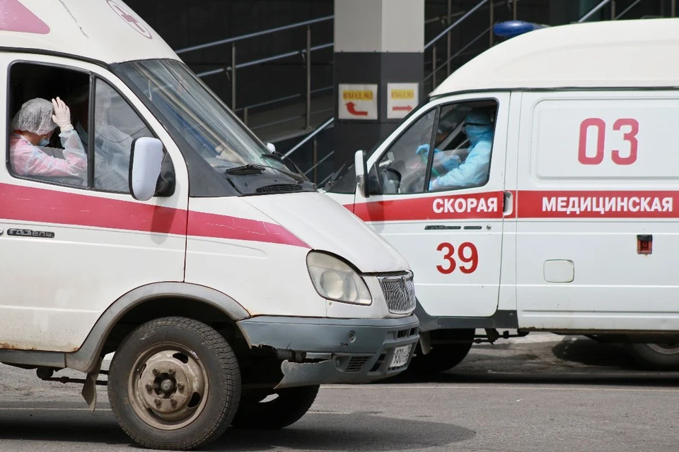 Медики.