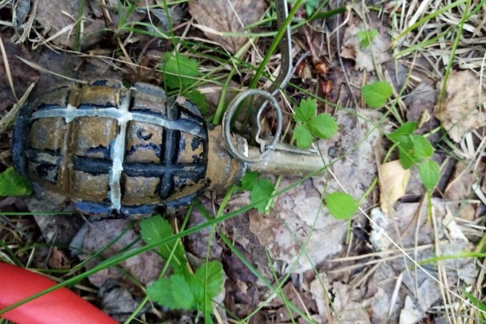 Взрывотехники ОМОН обследовали находку и установили, что это ручная противопехотная оборонительная граната Ф-1. Фото: пресс-служба Управления Росгвардии по Свердловской области