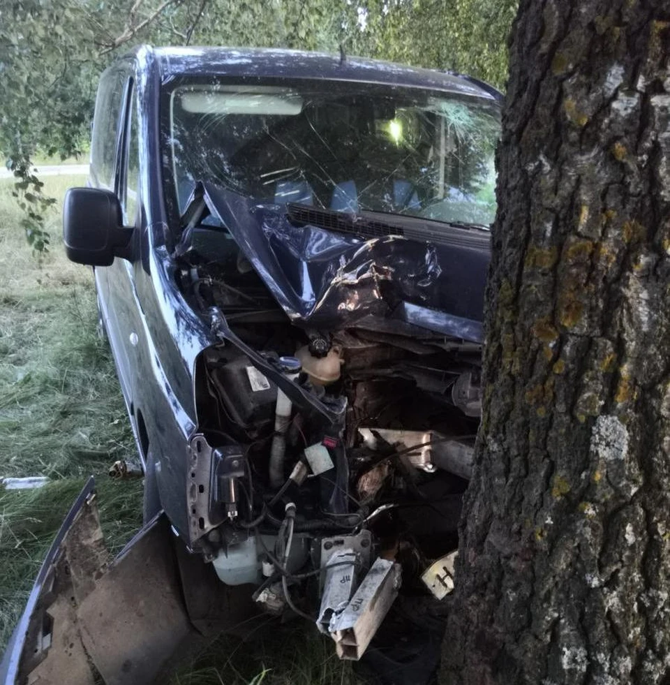 Под Орлом водитель «Фиата» ночью вылетел с дороги и врезался в дерево. Фото: Госавтоинспекции Орловской области