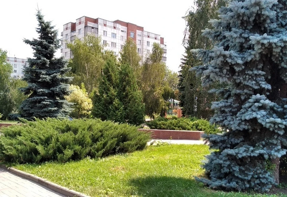 В Курске продолжают дезинфицировать парки, скверы, объекты транспортной инфраструктуры