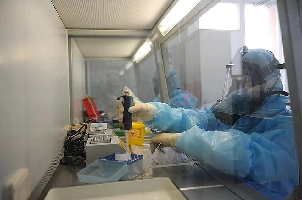 За все время коронавирус в ДНР зарегистрирован у 1611 жителей