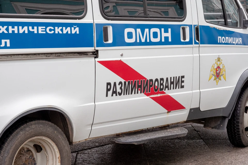 В Стрельне нашли взрывное устройство.