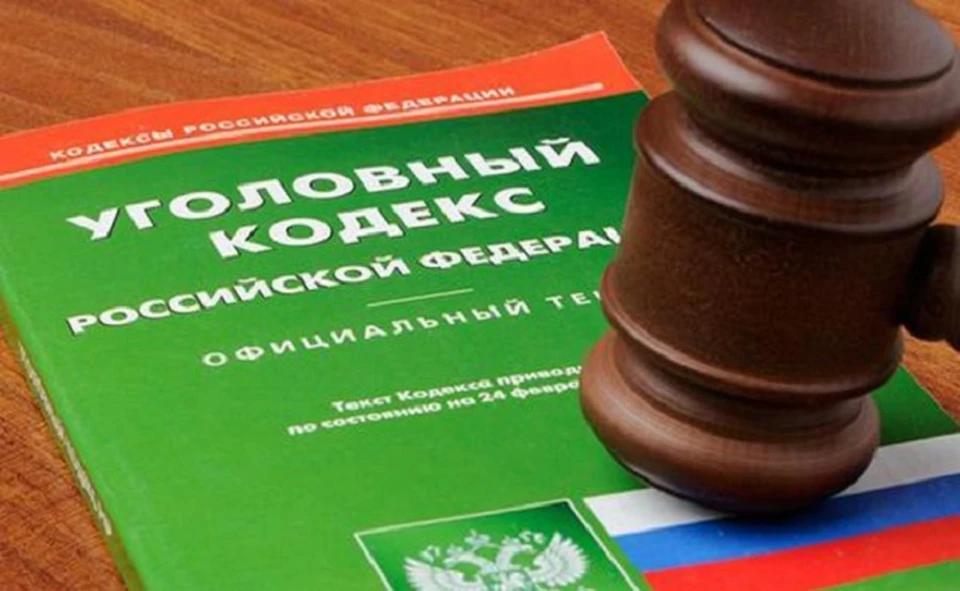 Водитель предстанет перед судом, максимальное наказание, которое его ждет, - до 2 лет лишения свободы.