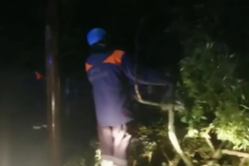 В Биробиджане ветром повалило деревья