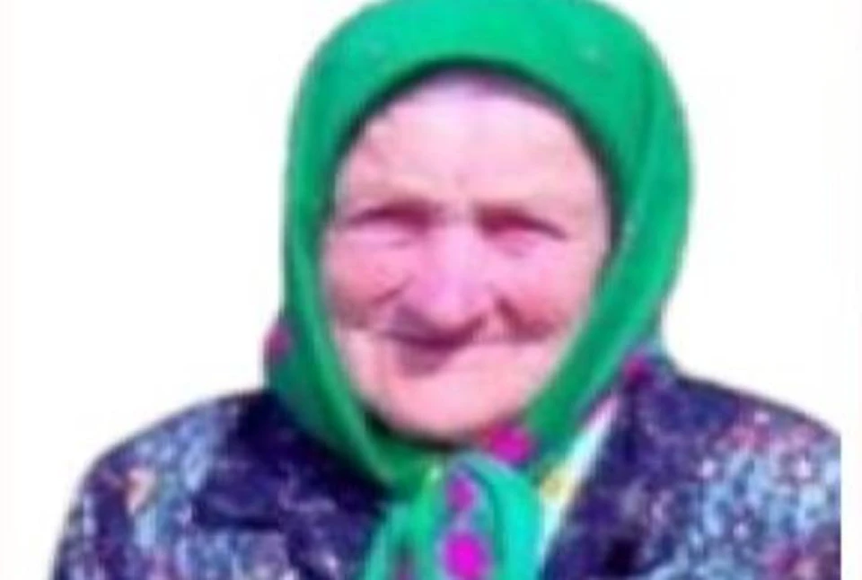 «Уже четыре дня ни слуху, ни духу»: 93-летняя бабушка заблудилась в лесу под Нижним Новгородом.