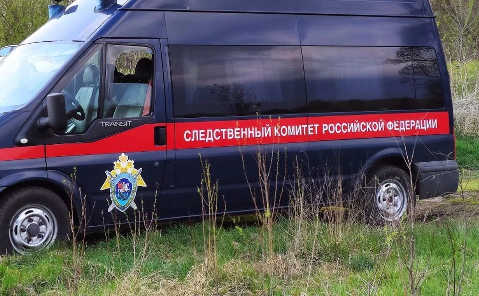 По делу проводятся следственные действия
