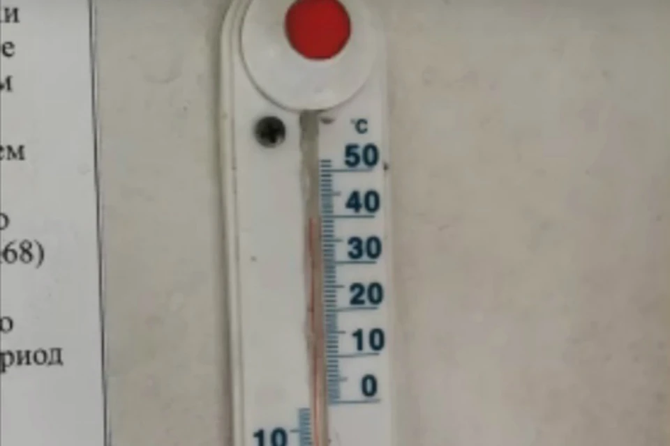 Жуткая жара в ростовских электричках вызвала гнев горожан. Фото: соцсети