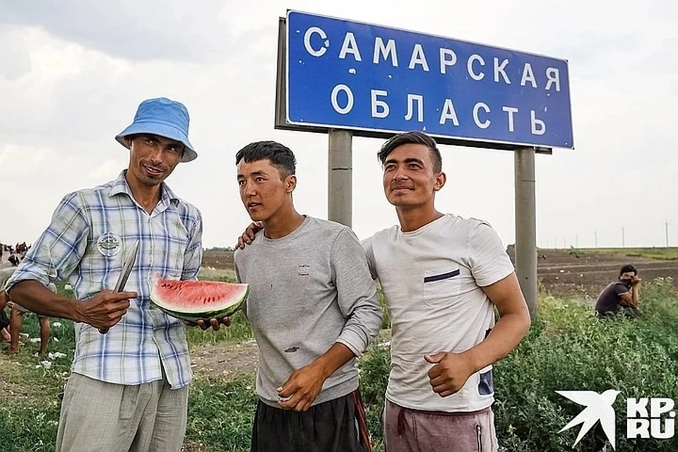 Граждан Узбекистана отправили домой