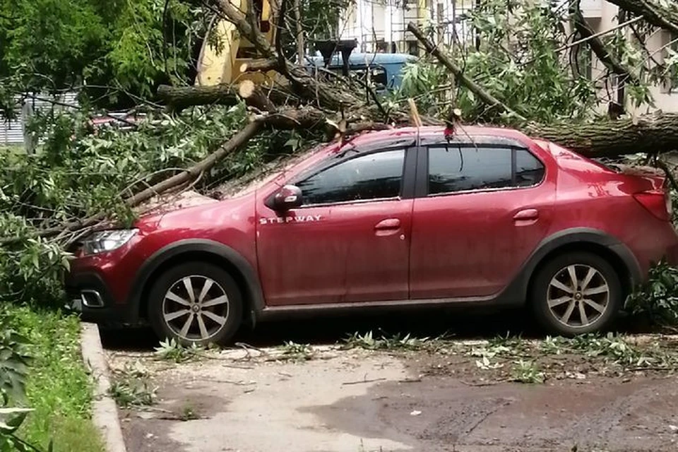 фото: соцсети