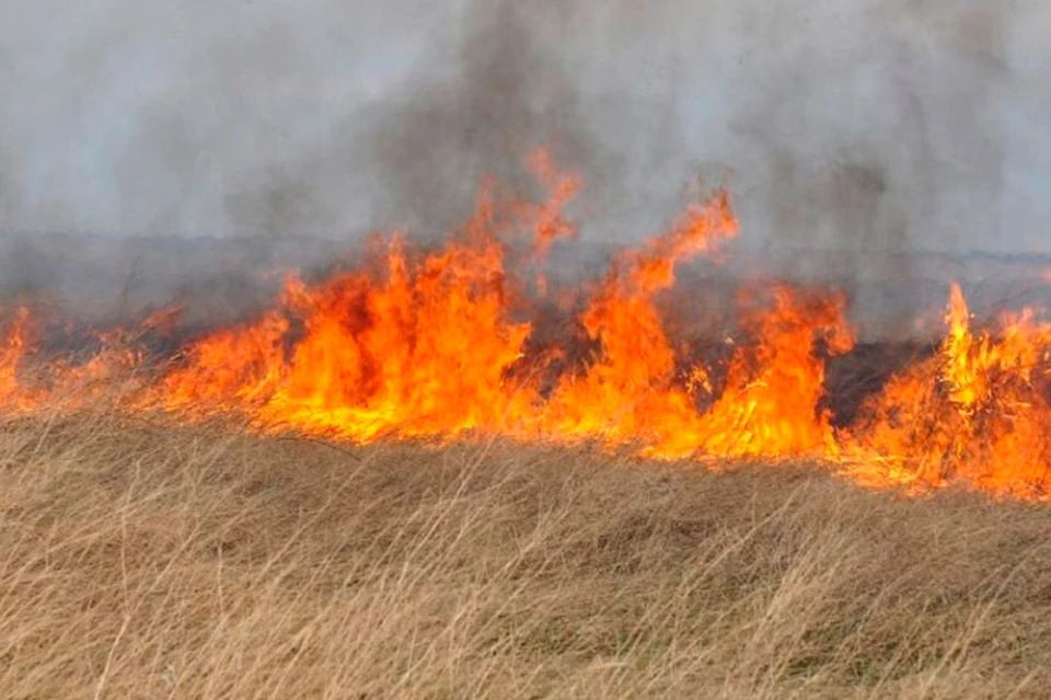 За сутки в регионе произошло 33 пожара, в 28 случаях спасатели боролись с возгораниями сухой травы и мусора