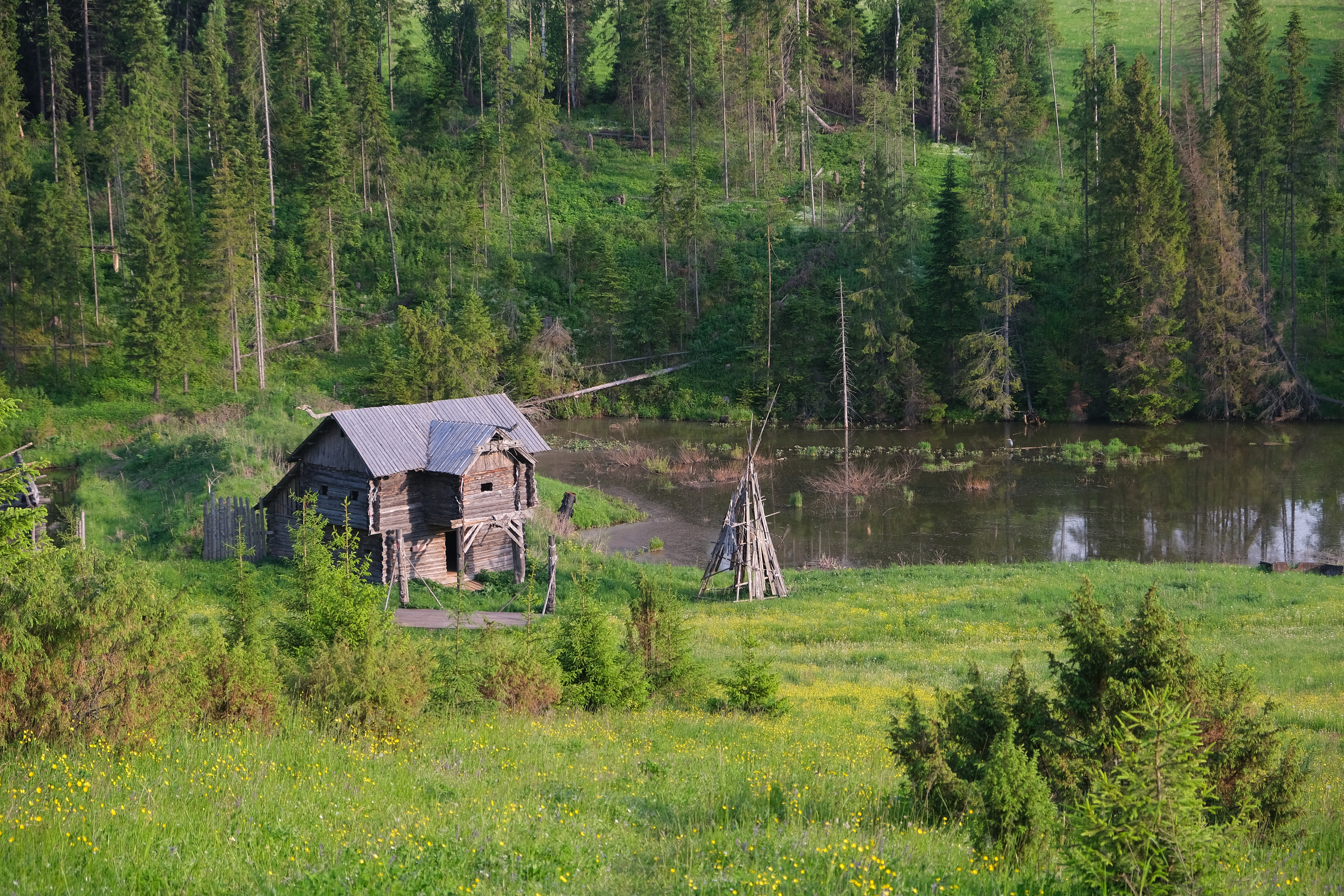 Фото: Алена Селезнева