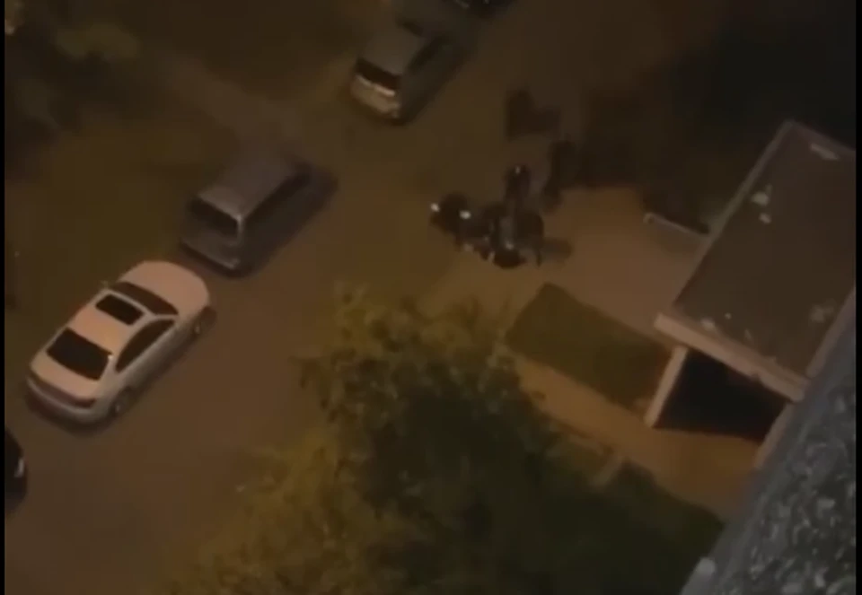 На избивающих человека силовиков в Минске сбросили дверь. Фото: кадр из видео