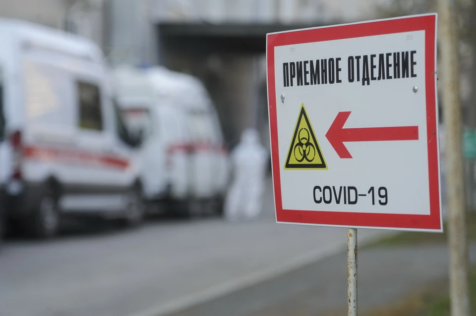 Всего с начала эпидемии в крае зарегистрировано 7981 человек, инфицированных COVID-19