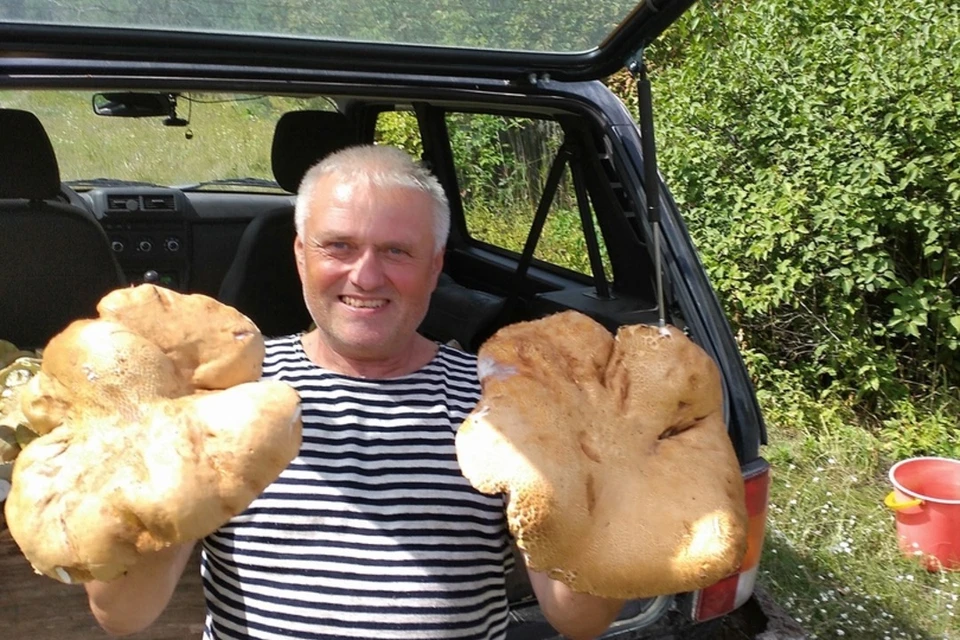 Владимир Круглов нашел в барнаульском Ленточном бору сразу два огромных гриба