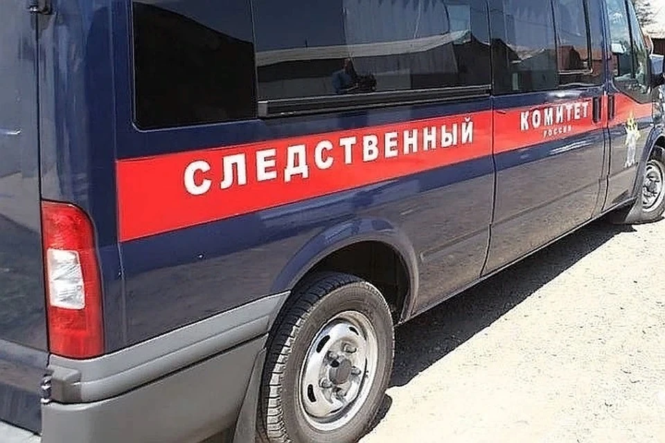 Сибиряка, совершившего убийство, заключили под стражу.