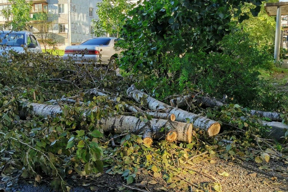 В Биробиджане уровень реки Бира немного увеличился