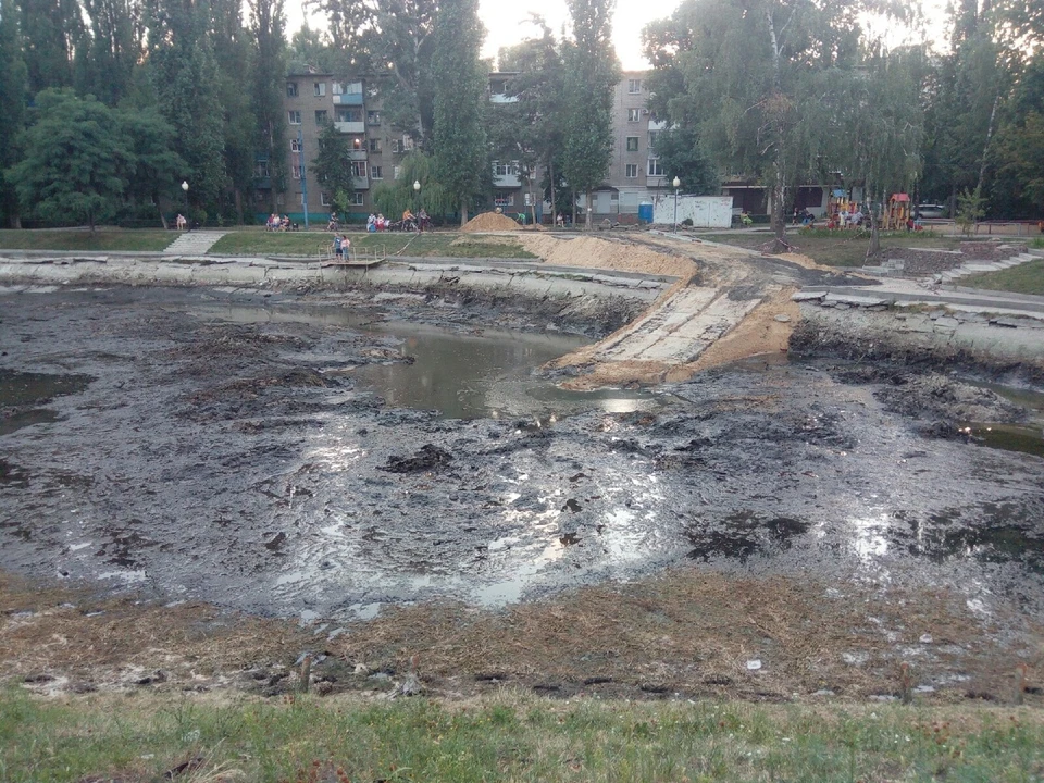 Горожане расстроены унылым видом некогда красивого озера