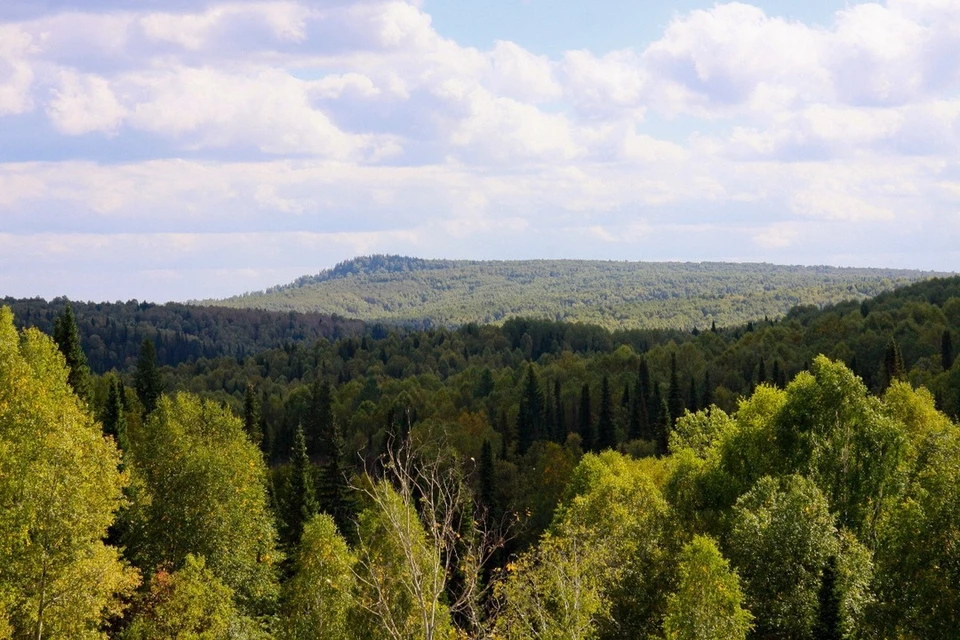 Салаирский кряж фото