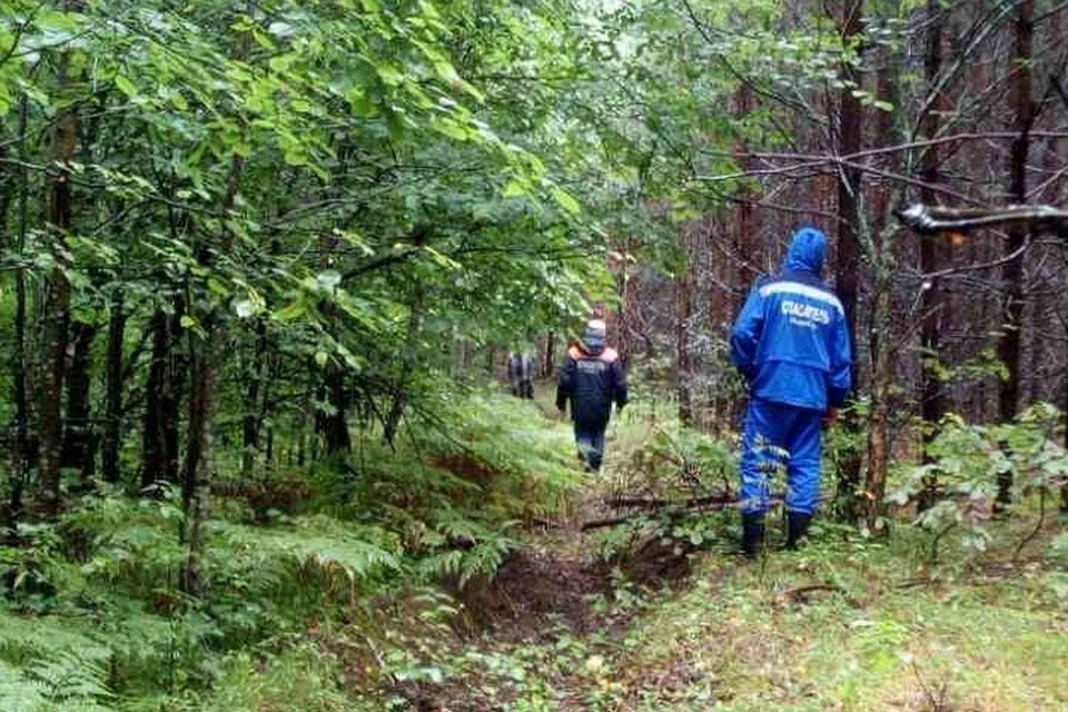 Во время поиска пенсионерки