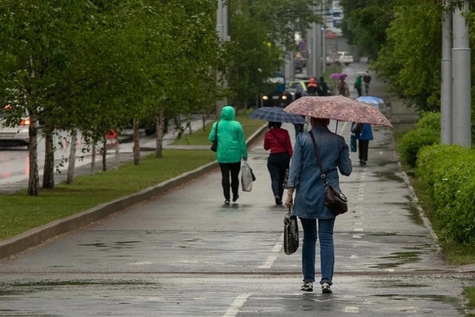 Большая часть текущей недели будет холодной и дождливой