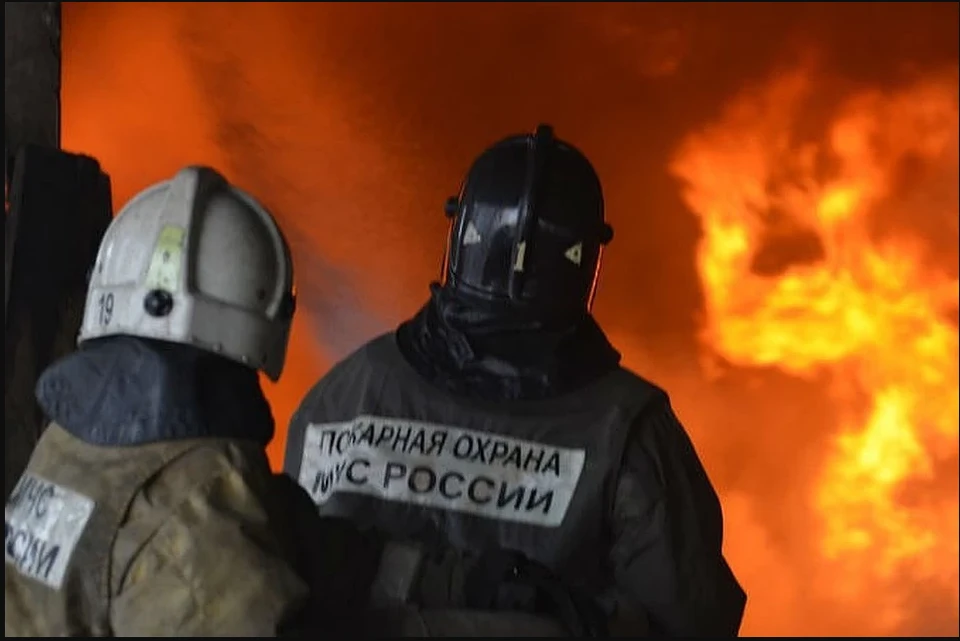 Фото: "АРХИВ КП"