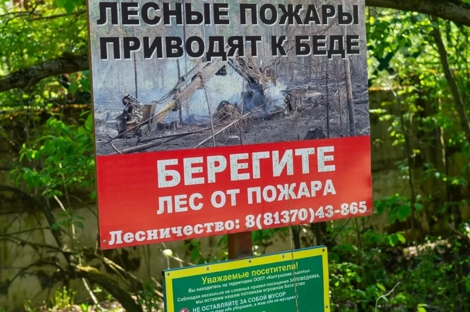 Петербуржец "попал" почти на 2 млн рублей за устроенный пожар в лесу Новгородской области.