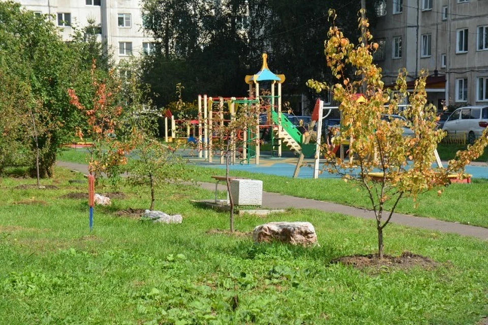 Жители окрестных домов рады тому, что их дворы так преобразились Фото: vk.com/krasnoyarskrf