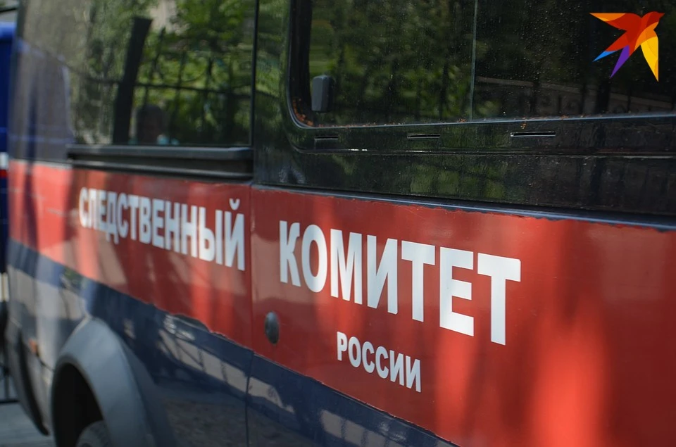 По результатам проверки данного происшествия в СКР будет принято процессуальное решение.