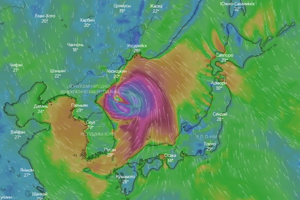 Пока по всем расчетам шторм движется на Приморье. Источник: windy.com
