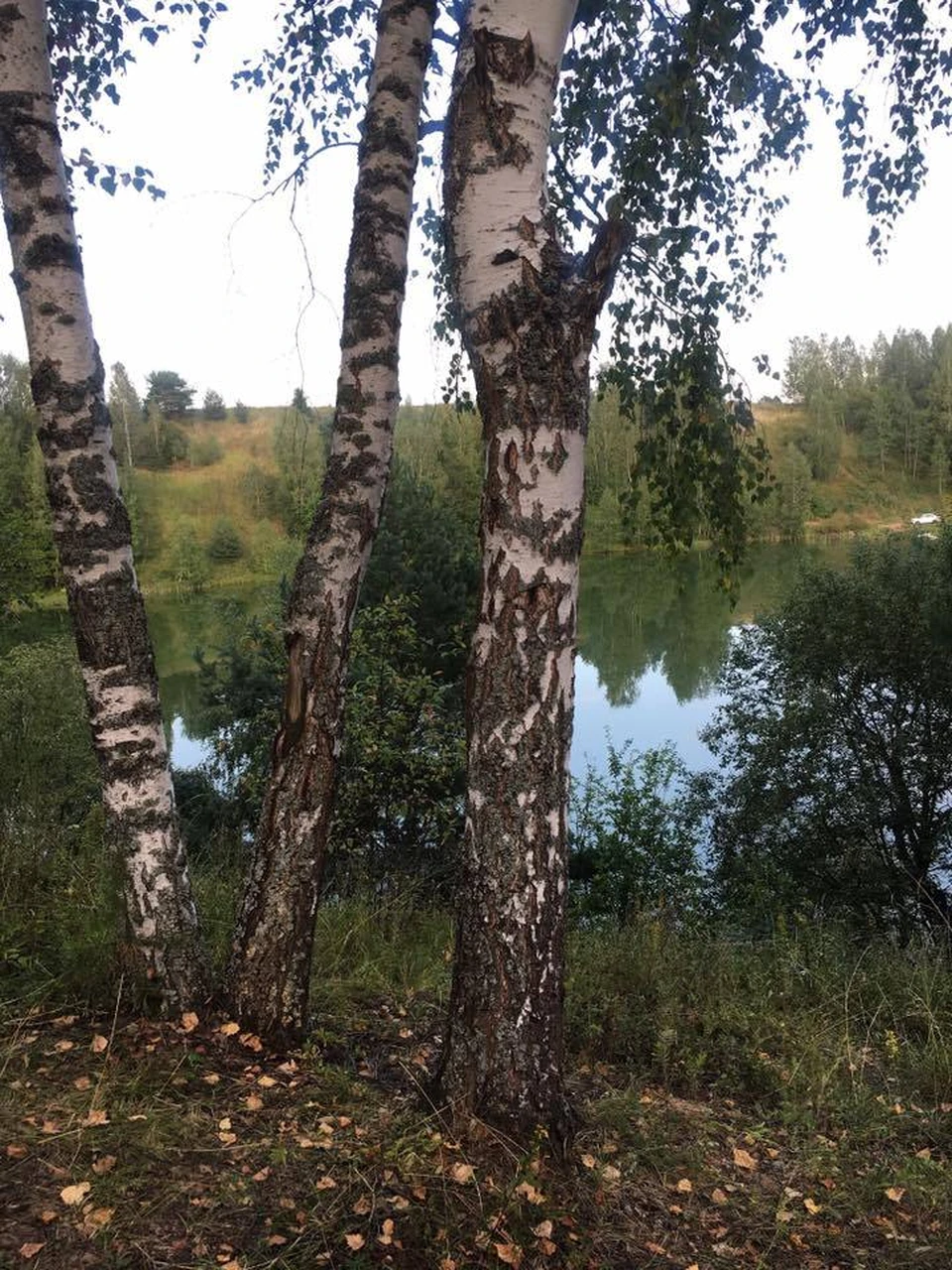 В Томске сегодня день обещает быть без существенных осадков, по области местами ожидаются дожди, грозы.