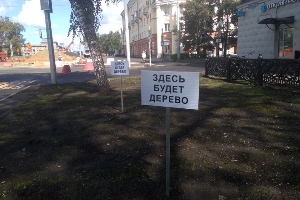 В Новокузнецке вместо деревьев установили таблички из пластика