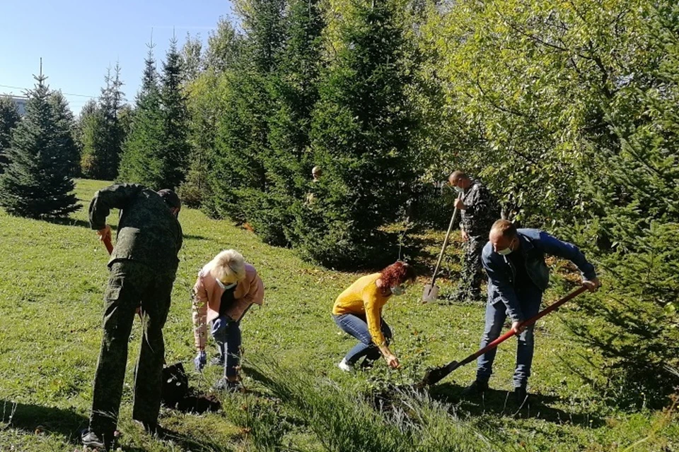 ФОТО: Пресс-служба министерства лесного, охотничьего хозяйства и природопользования Пензенской области