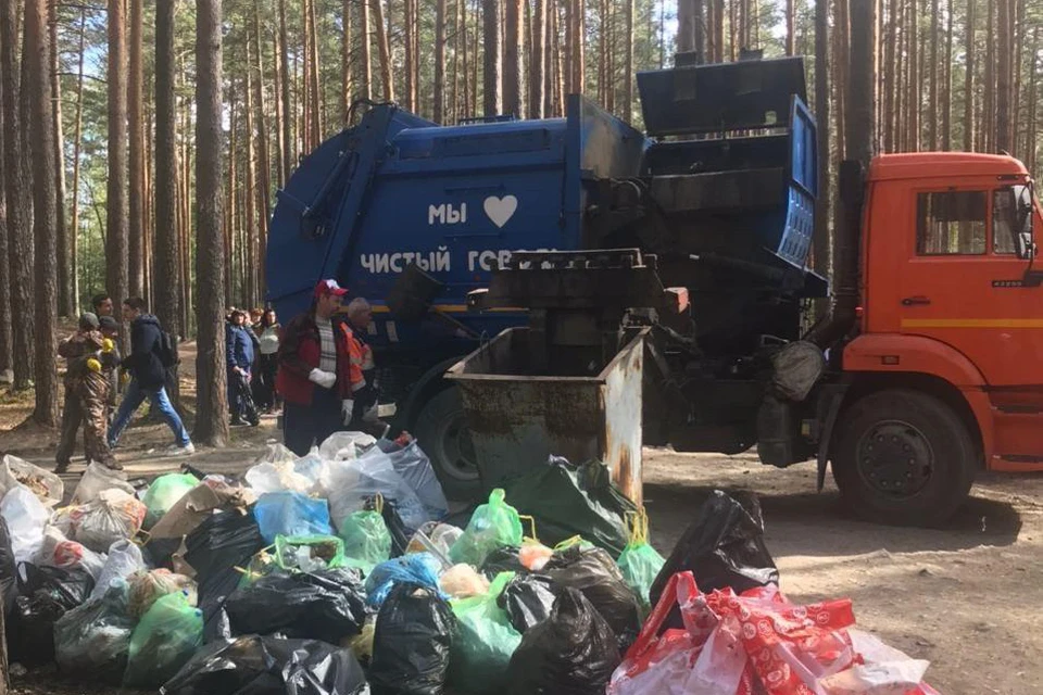 Эко-марафон прошел в субботу, 5 сентября. Фото: министерство экологии Челябинской области