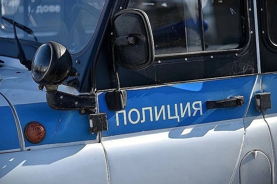 Мужчины поссорились, когда катались на "Тойоте" по селу.