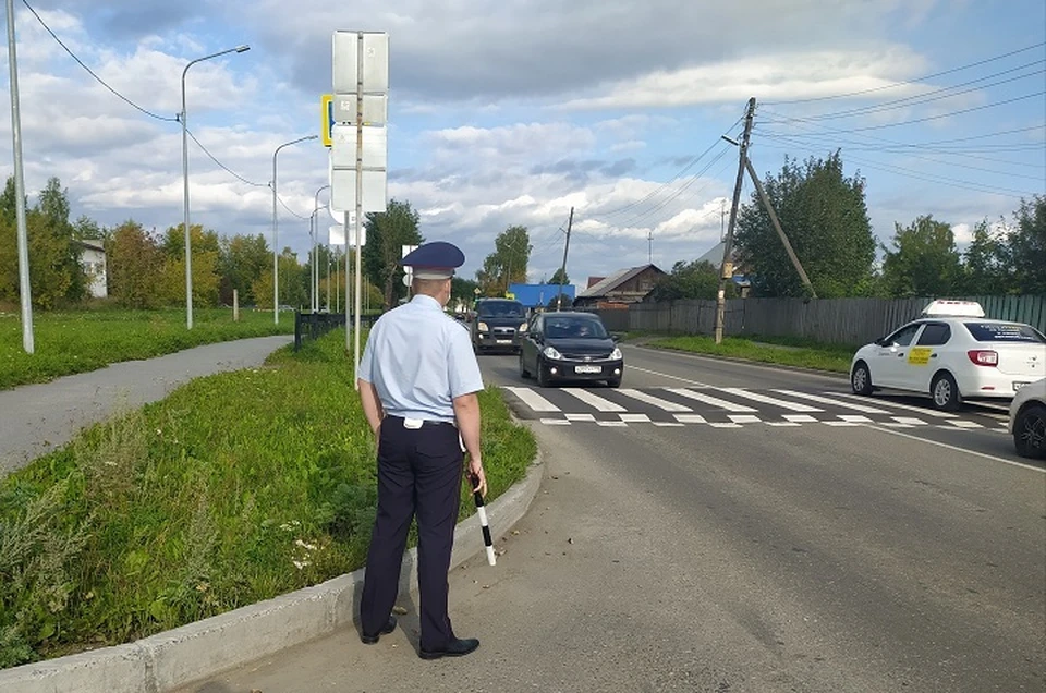 Фото: отдел пропаганды ГИБДД по Свердловской области