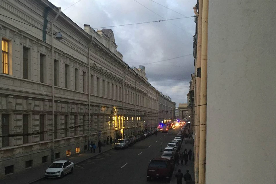 Гадюки на намыве васильевского острова. Тревога в питере сегодня. Воздушная тревога в санкт-петербурге. Петербург тревога. Петербург тревога.