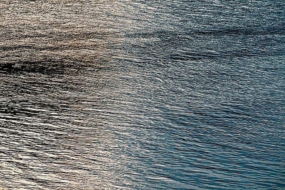 Фото: pixabay.com