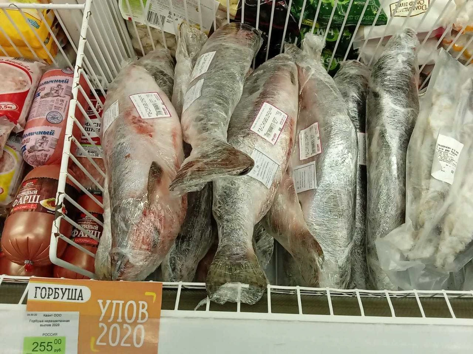 В Хабаровском крае в этом году ловят больше лосося