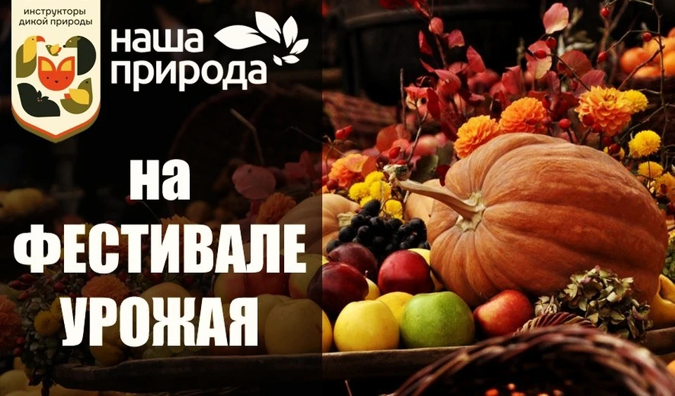Фото Центра охраны животных "Наша природа"
