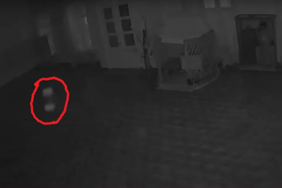 Вот это белое пятнышко "мечется" по залу. Фото: скриншот видео.
